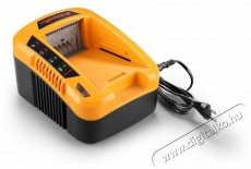 RIWALL RAC 540 40V 5A akkumulátor töltő Háztartás / Otthon / Kültér - Szerszám - Kiegészítő, tartozék - 389269