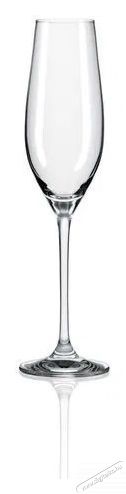 RONA Pezsgőspoharak 210 ml UNIVERSAL 6 db Konyhai term&eacute;kek - Konyhai eszk&ouml;z - K&eacute;szlet / szett - 525878