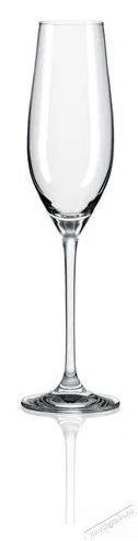 RONA Pezsgőspoharak 210 ml UNIVERSAL 6 db Konyhai term&eacute;kek - Konyhai eszk&ouml;z - K&eacute;szlet / szett - 525878