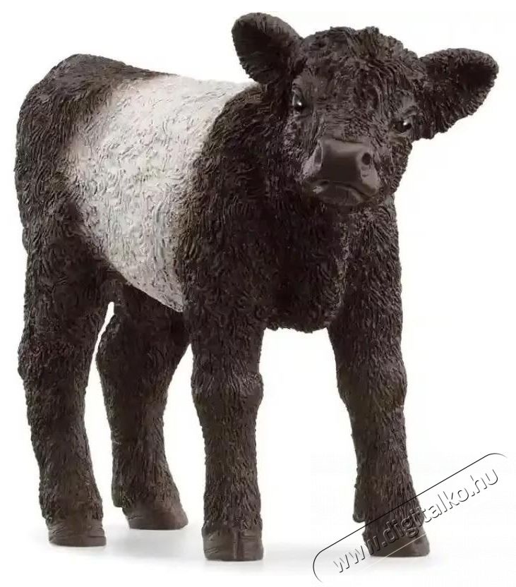 Schleich 13969 figura, Farm World, Galloway borj&uacute; H&aacute;ztart&aacute;s / Otthon / K&uuml;lt&eacute;r - J&aacute;t&eacute;k / Sport - J&aacute;t&eacute;kfigura - 533751