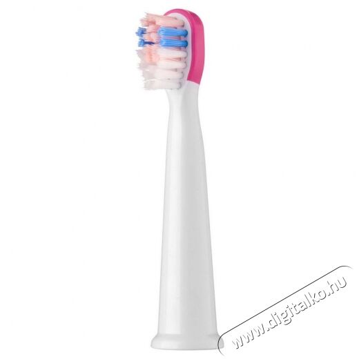 Sencor SOX 013RS P&oacute;t fogkefefej 2db (SOC 091X) Sz&eacute;ps&eacute;g&aacute;pol&aacute;s / Eg&eacute;szs&eacute;g - Sz&aacute;j / fog &aacute;pol&aacute;s - Kieg&eacute;sz&iacute;tő - 352024