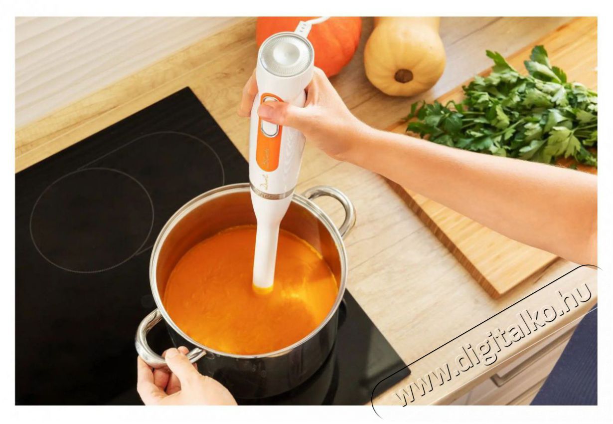 Sencor SHB 4211WH botmixer - feh&eacute;r Konyhai term&eacute;kek - Konyhai kisg&eacute;p (elők&eacute;sz&iacute;t&eacute;s / feldolgoz&aacute;s) - Botmixer - 376739