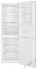 Siguro BF-O120W Ideal Konyhai term&eacute;kek - Hűtő, fagyaszt&oacute; (szabadon&aacute;ll&oacute;) - Alulfagyaszt&oacute;s kombin&aacute;lt hűtő - 509312