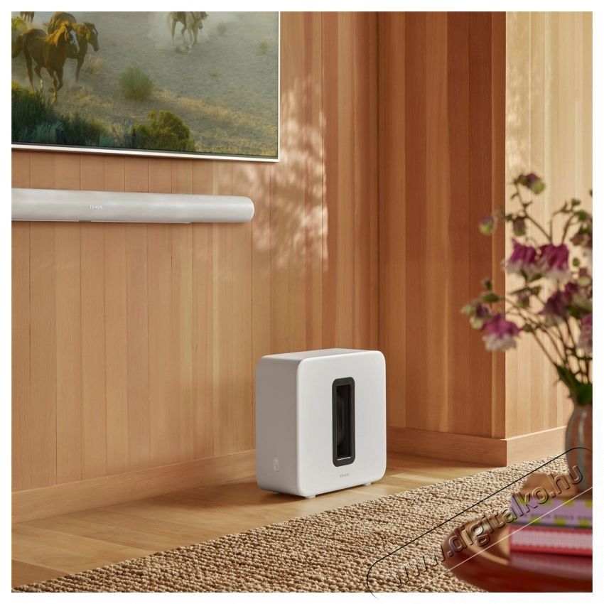 Sonos Arc Ultra feh&eacute;r + Sub 4 + 2x Era 300 Audio-Video / Hifi / Multim&eacute;dia - Hangprojektor / soundbar - M&eacute;lyl&aacute;d&aacute;val - 530483