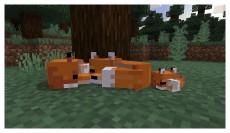 SONY Minecraft Starter Collection PS4 j&aacute;t&eacute;kszoftver Iroda &eacute;s sz&aacute;m&iacute;t&aacute;stechnika - J&aacute;t&eacute;k konzol - Playstation 4 (PS4) j&aacute;t&eacute;k - 440685