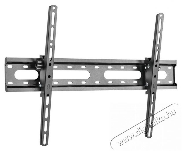Stell SHO 4420 SLIM d&ouml;nthető univerz&aacute;lis TV tart&oacute; Tv kieg&eacute;sz&iacute;tők - Fali tart&oacute; / konzol - Fali tv tart&oacute; - 376759