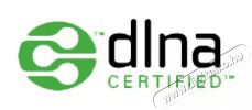 TCL 55C6KS QD-Mini LED 60Hz Google Smart telev&iacute;zi&oacute; Telev&iacute;zi&oacute;k - LED telev&iacute;zi&oacute; - UHD 4K felbont&aacute;s&uacute; - 530318