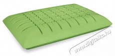 Ted Memory P&aacute;rna, Green Tea, elt&aacute;vol&iacute;that&oacute; moshat&oacute; huzat, 60x40x12 cm Sz&eacute;ps&eacute;g&aacute;pol&aacute;s / Eg&eacute;szs&eacute;g - Egy&eacute;b sz&eacute;ps&eacute;g / eg&eacute;szs&eacute;g term&eacute;k - 537448