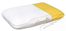 Ted Memory p&aacute;rna, Sleep Relax, elt&aacute;vol&iacute;that&oacute; moshat&oacute; huzat, 60x40x12 cm Sz&eacute;ps&eacute;g&aacute;pol&aacute;s / Eg&eacute;szs&eacute;g - Egy&eacute;b sz&eacute;ps&eacute;g / eg&eacute;szs&eacute;g term&eacute;k - 537447