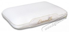 Ted Memory p&aacute;rna, Sleep Relax, elt&aacute;vol&iacute;that&oacute; moshat&oacute; huzat, 60x40x12 cm - Sz&eacute;ps&eacute;g&aacute;pol&aacute;s / Eg&eacute;szs&eacute;g - Egy&eacute;b sz&eacute;ps&eacute;g / eg&eacute;szs&eacute;g term&eacute;k - 537447