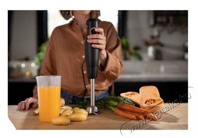 Tefal HB46E838 Botmixer Konyhai term&eacute;kek - Konyhai kisg&eacute;p (elők&eacute;sz&iacute;t&eacute;s / feldolgoz&aacute;s) - Botmixer - 382689