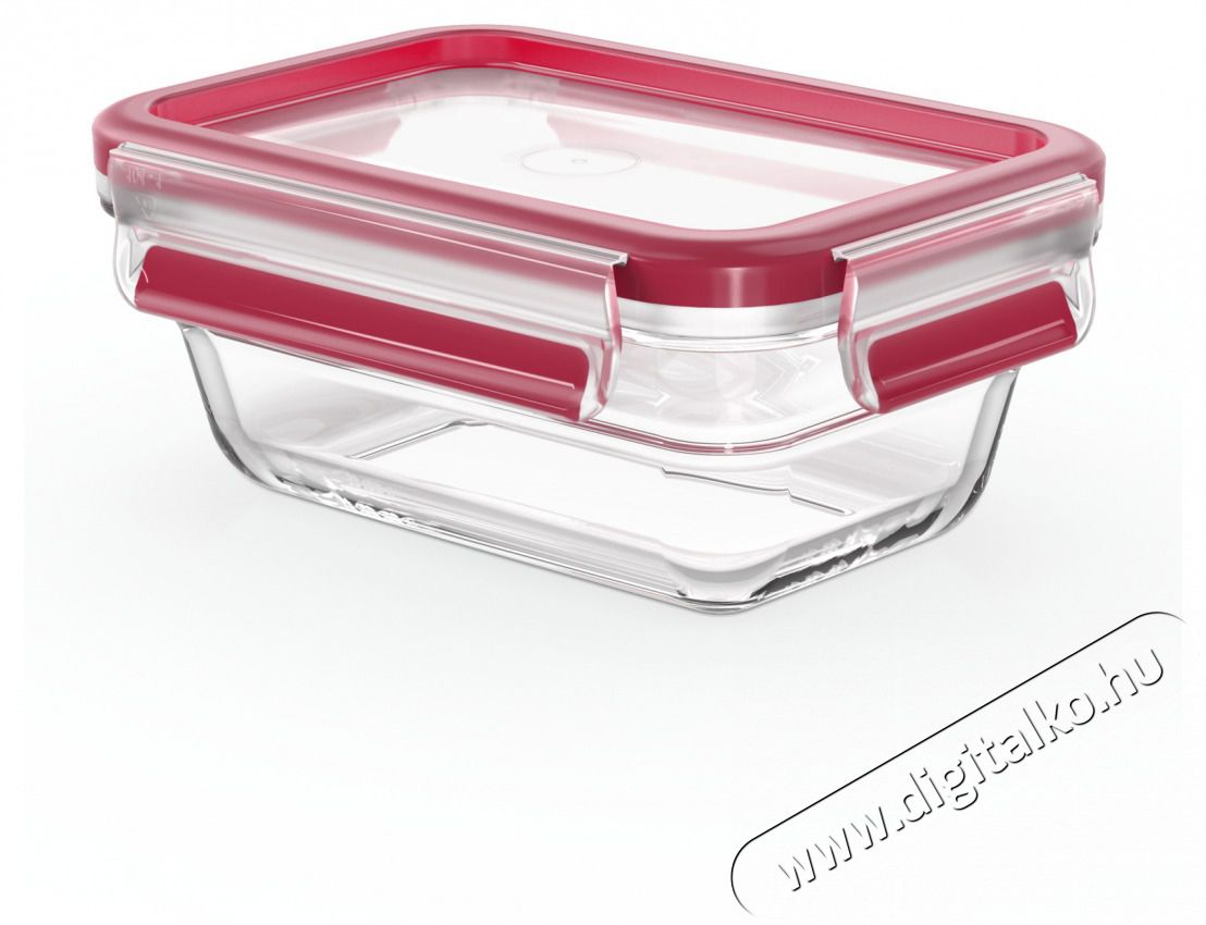 Tefal N1040510 N&eacute;gysz&ouml;gletű &uuml;veg t&aacute;rol&oacute;ed&eacute;ny 0,45 L  Konyhai term&eacute;kek - Konyhai eszk&ouml;z - Egy&eacute;b konyhai eszk&ouml;z - 465236