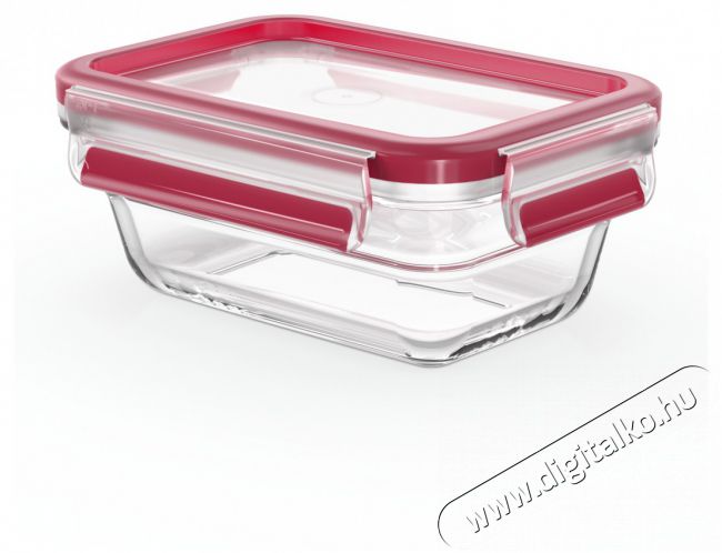 Tefal N1040510 N&eacute;gysz&ouml;gletű &uuml;veg t&aacute;rol&oacute;ed&eacute;ny 0,45 L  Konyhai term&eacute;kek - Konyhai eszk&ouml;z - Egy&eacute;b konyhai eszk&ouml;z - 465236