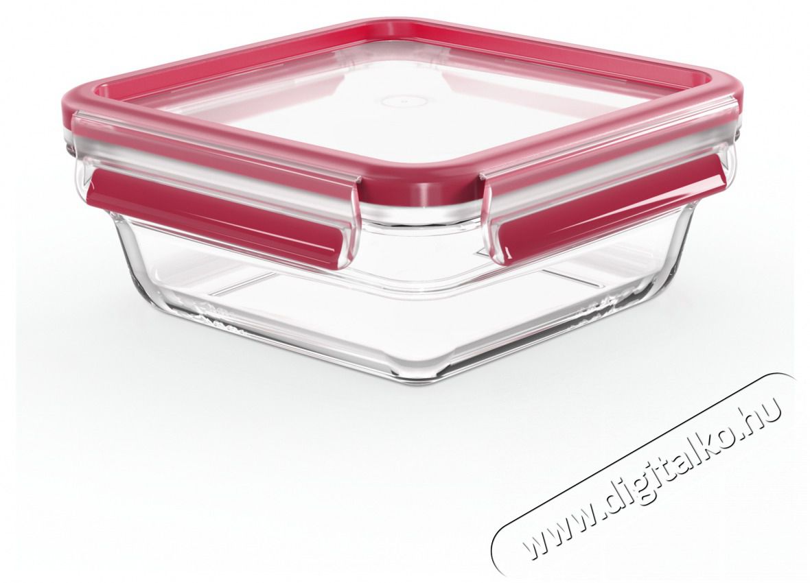 Tefal N1041410 N&eacute;gysz&ouml;gletű &uuml;veg t&aacute;rol&oacute;ed&eacute;ny  0,8 l Konyhai term&eacute;kek - Konyhai eszk&ouml;z - Egy&eacute;b konyhai eszk&ouml;z - 465237