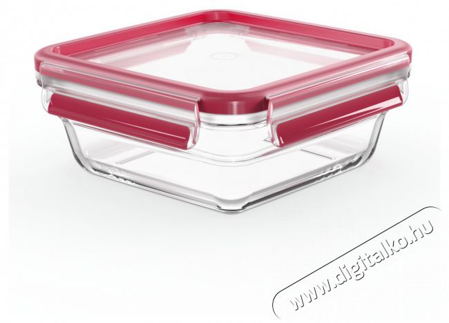 Tefal N1041410 N&eacute;gysz&ouml;gletű &uuml;veg t&aacute;rol&oacute;ed&eacute;ny  0,8 l Konyhai term&eacute;kek - Konyhai eszk&ouml;z - Egy&eacute;b konyhai eszk&ouml;z - 465237