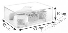TESCOMA PURITY frissen tart&oacute; doboz, hűtőszekr&eacute;nybe, 28x22 cm, nagy Konyhai term&eacute;kek - Ed&eacute;ny - &Eacute;telt&aacute;rol&oacute; - 520950
