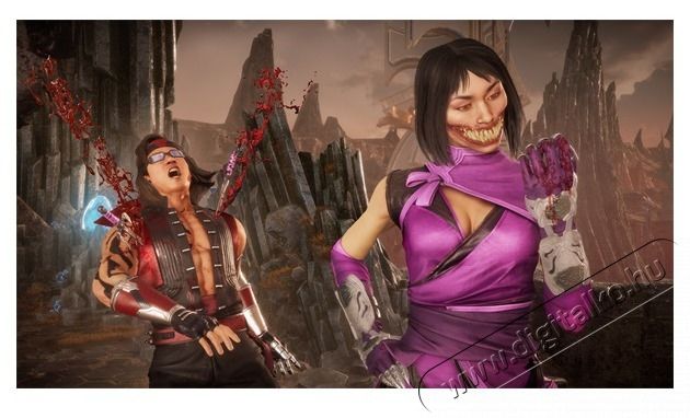 WARNER BROS Mortal Kombat 11: Ultimate Edition Nintendo Switch j&aacute;t&eacute;kszoftver Iroda &eacute;s sz&aacute;m&iacute;t&aacute;stechnika - J&aacute;t&eacute;k konzol - Nintendo Switch j&aacute;t&eacute;k - 389729