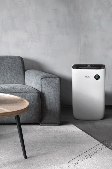 Whirlpool DE 20 W5252 P&aacute;ramentes&iacute;tő Sz&eacute;ps&eacute;g&aacute;pol&aacute;s / Eg&eacute;szs&eacute;g - L&eacute;gtiszt&iacute;t&oacute; / p&aacute;r&aacute;s&iacute;t&oacute; / p&aacute;r&aacute;tlan&iacute;t&oacute; - P&aacute;ramentes&iacute;tő - 362859